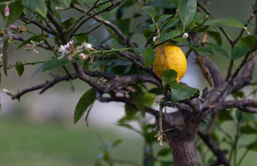 Relais Parco Del Subasio - Photo 75