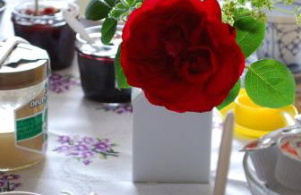 Hof Klostermann - Foto 7