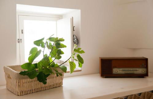 Trulli di Mezza - Foto 14