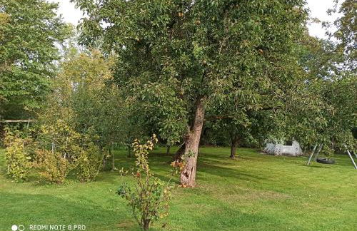 Der Amboss - Photo 12