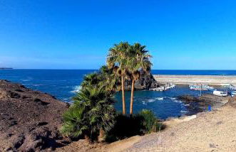 Apartamento Hibisco - Foto 35