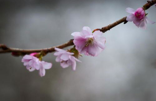 Barn in Happisburgh sleeping 2 and welcoming 5 dogs - close to beach! - Photo 31