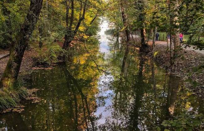 Inviting 1-bed Apartment With Box and Seeviews - Foto 8