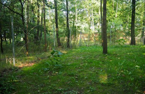 Ranczo w Dolinie Biskupice - Foto 2