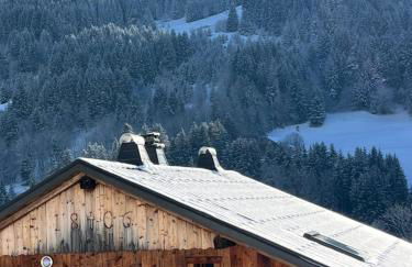 Chalet la griotte - Photo 4