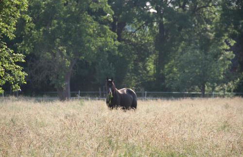 Ferienhaus Am Untergut in der Klingelstraße - Foto 8
