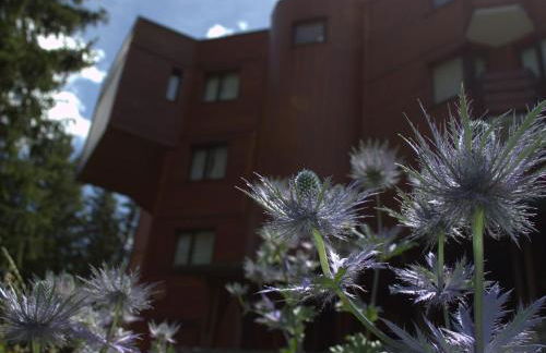 Studio rénové à Courchevel 1850, skis aux pieds, 4 pers, parking inclus - FR-1-575-247 - Foto 14