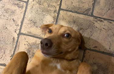 Agriturismo Tenute di Hera - Via Francigena - Foto 15