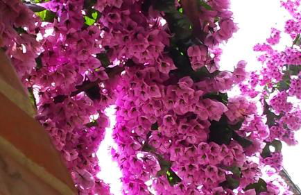 Cascadas de la Marina - Foto 24