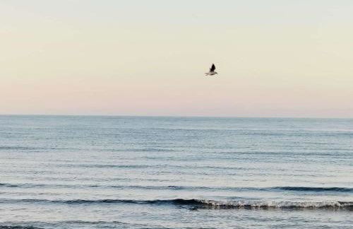 Perla marina - Foto 30