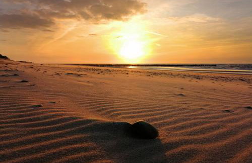 Słoneczne Chatki - Foto 26