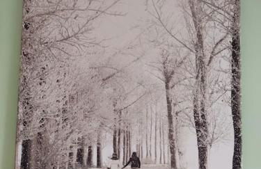 Eden house - Foto 42