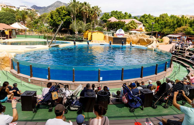 Selwo Marina Ticket - Photo 8