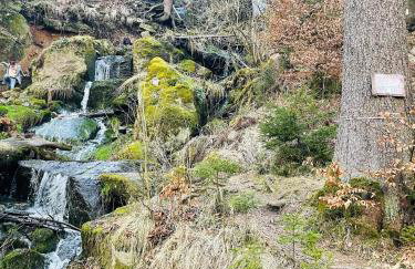 "Glück auf" Lichtdurchflutete schicke Ferienwohnung in Zwickau - Foto 41