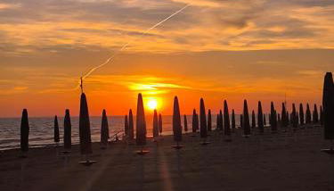 la farfalla blu sul mare - Foto 4