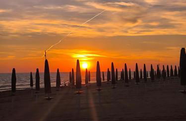 la farfalla blu sul mare - Foto 4