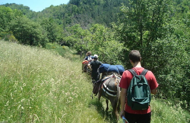 Al Regio Tratturo - Foto 25