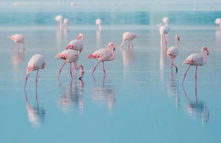 Agriturismo Ca' Bonelli 1924 - Foto 9