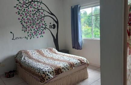 casa da mata - Foto 6