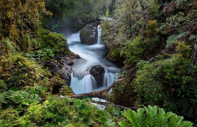 Cabañas Pewma Futrono - Photo 72