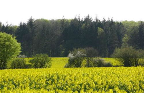 Holiday apartment with 1 bedroom - Foto 18