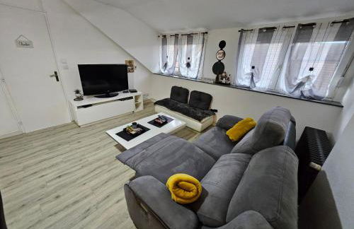 F3 centre d hericourt Fibre et Netfix - Foto 8