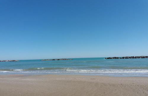 Giardino delle rose - Foto 51