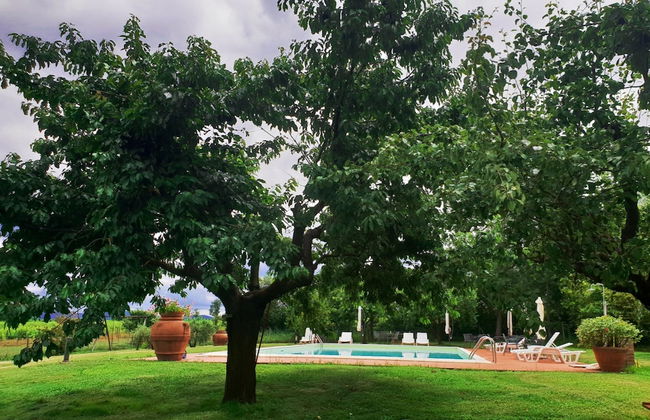 Agriturismo Il Sole Verde - Foto 39