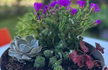 Green Home, Milano-Cortina, Assago,IEO, Humanitas - Photo 13