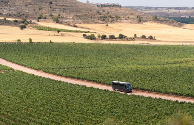 Visita della cantina Viña Arnáiz - Foto 4