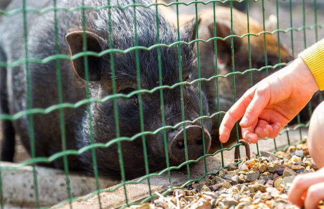 Modern Chalet With air Conditioning - Foto 36