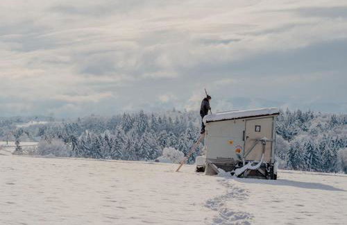 Zimis Hofnest - Foto 36