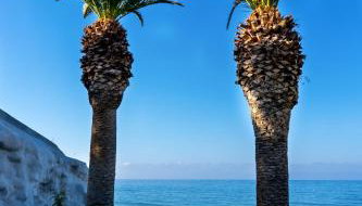 White Pearl - Foto 1, Garden view