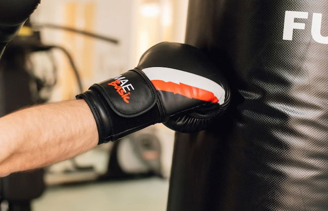 Comitas Floramar - Photo 42