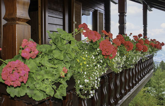 Saurachberghütte - Photo 24