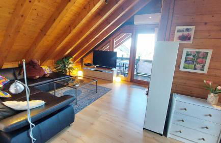 Ferienwohnungen Sonnenhalde mit schöner Aussicht - Foto 23