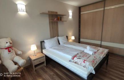 LuxApartament 2 - z dużym tarasem i garażem w nowym Zeta Park - Photo 11