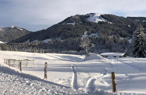 Alte Schmiede - Photo 12