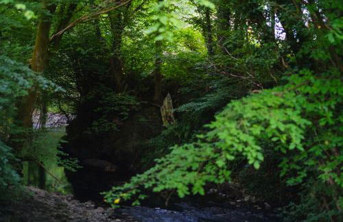 Tig Cottage - a rural, quirky, pet friendly 2 bedroom cottage near Ballantrae - Foto 44