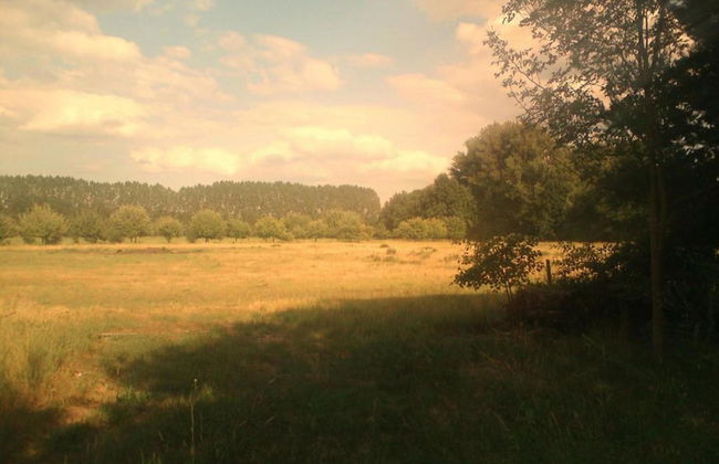 Waldblick Forest Retreat - Foto 37