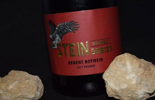 Ferienhaus & Weingut am Steingebiss - Foto 52