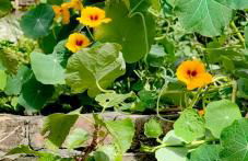 Allin home - Foto 48