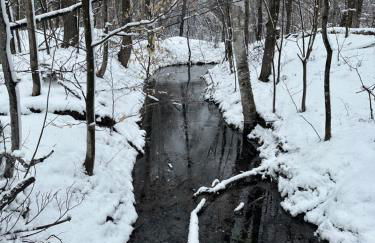 Baker Rocks - Photo 44