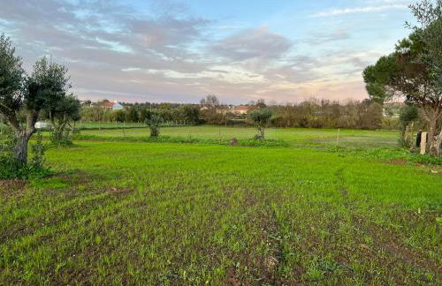 Monte Casa Branca - Foto 61