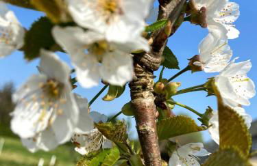 La Clé de Taulé - Foto 54