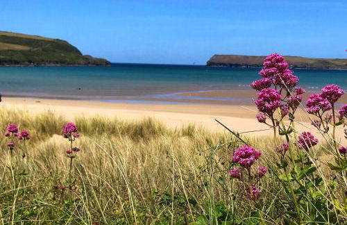 Brookdale House - Foto 78