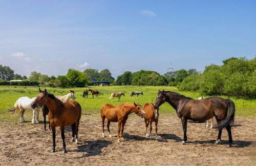 Ferienwohnung "FLORI's PONYHOF" - Foto 3