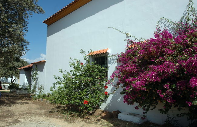 El Romerito - Foto 14