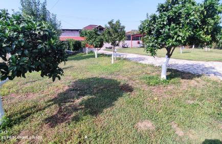 Vivian Philoxenia - Foto 32