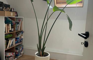 Modernes Haus mit Garten in Windberg, ruhig & zentral - Foto 9